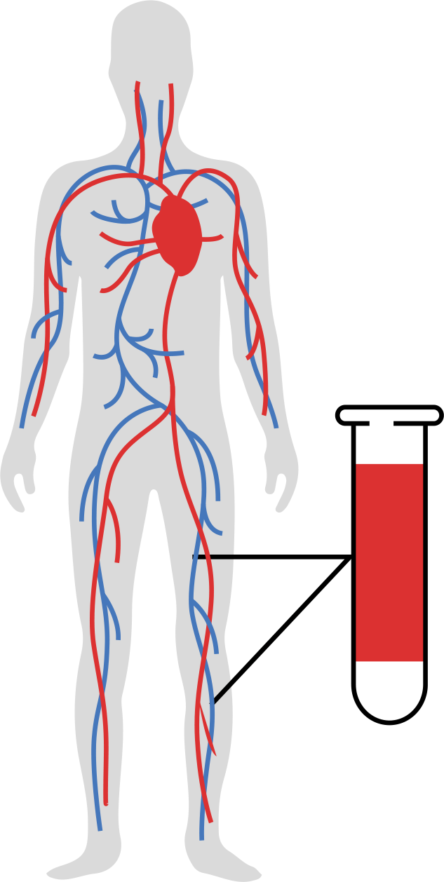 Das Ikon von Protein (Eiweiß)